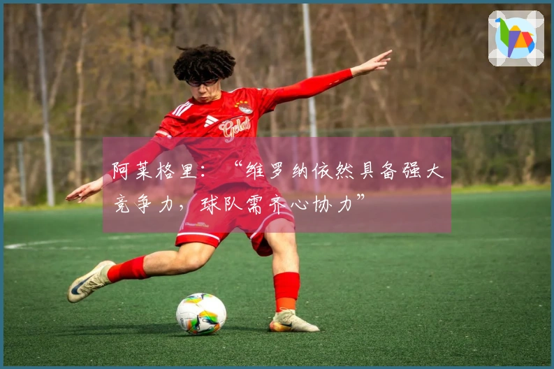 阿莱格里：“维罗纳依然具备强大竞争力，球队需齐心协力”