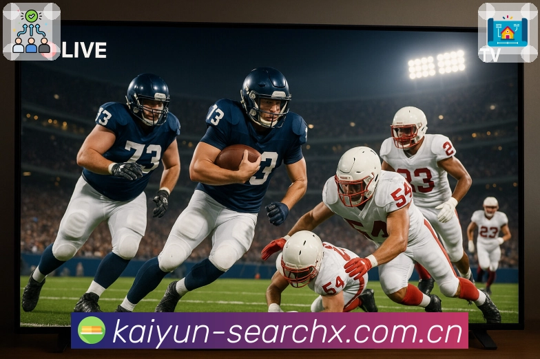 赛事回放与专题内容